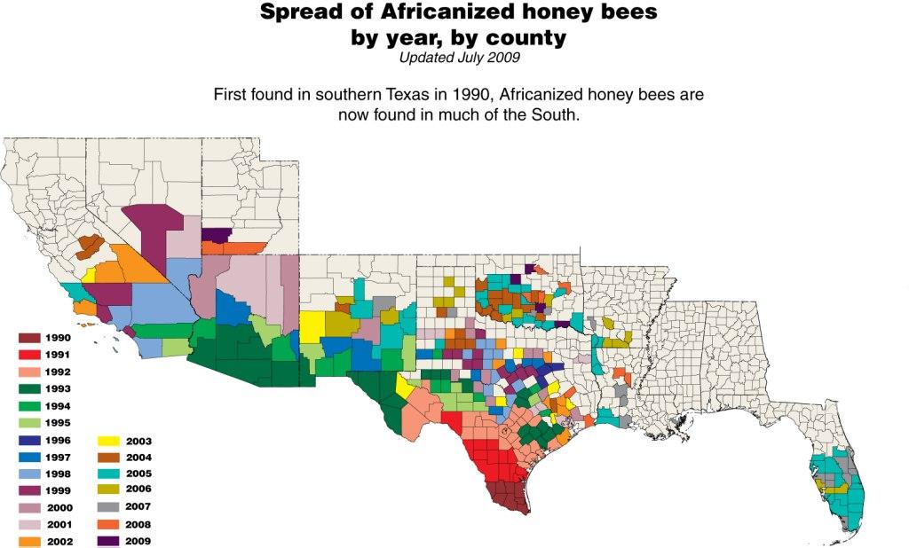 honey bees map